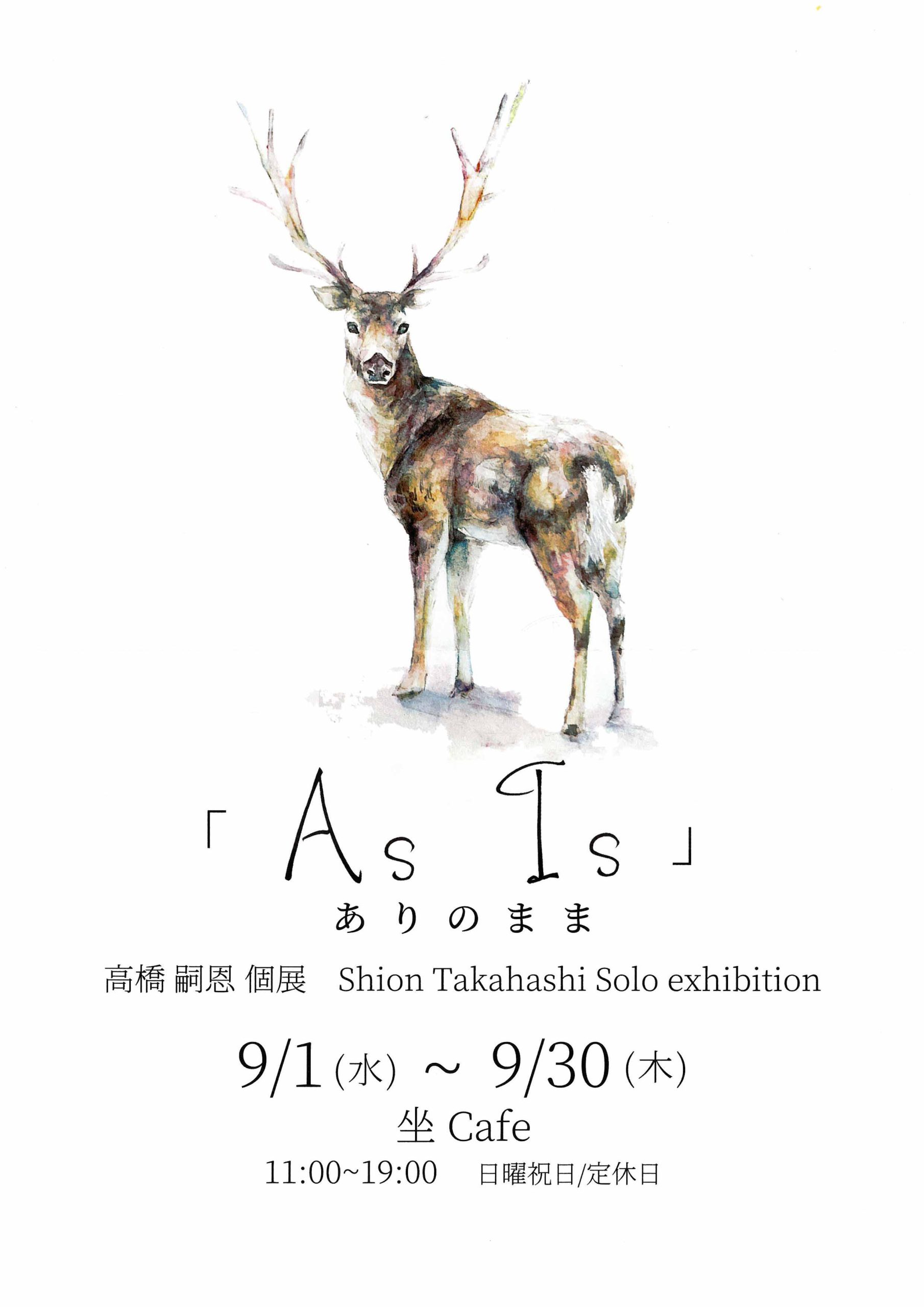 As Is」ありのまま 高橋嗣恩個展 Shion Takahashi Solo exhibition - 東北生活文化大学・短期大学部